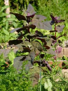 b0cd5c312b3b90c7c4c75e65372cc164