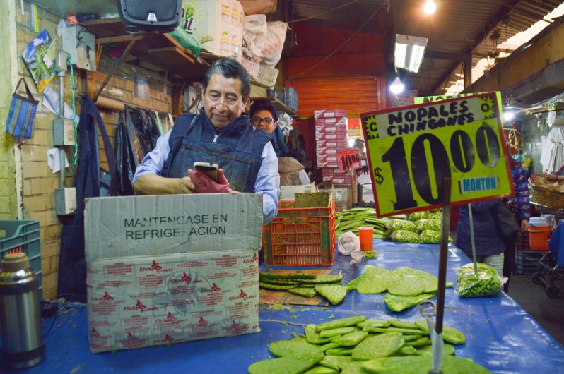 Seed Tour Mexique_Mexico City