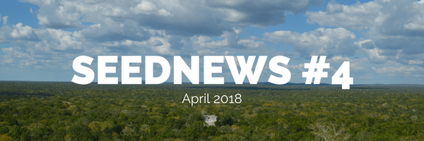 SEEDNEWS #4.png