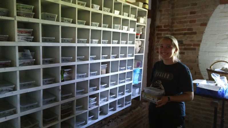 WhatsApp Image 2018-07-25 at 10.57.47