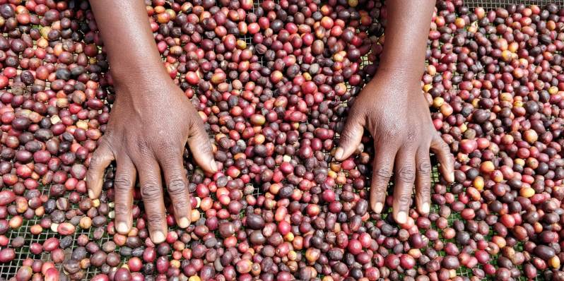 WhatsApp Image 2019-05-16 at 19.14.31