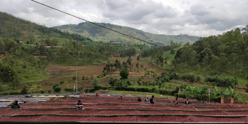 WhatsApp Image 2019-05-16 at 19.14.32