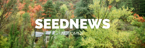SEEDNEWS - AUTOMNE (1)
