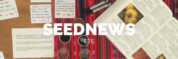 SEEDNEWS - ÉTÉ
